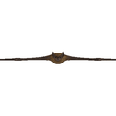Bat