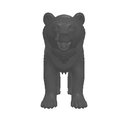 Albino Bear