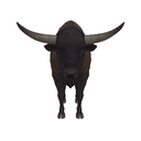 Great Bison