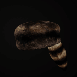 Coonskin Cap