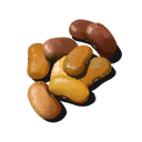 Beans