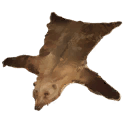 Bear Pelt
