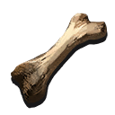 Bone