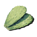 Nopal