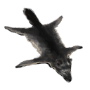 Dire Wolf Trophyhide