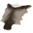 Elk Pelt