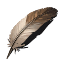 Feather