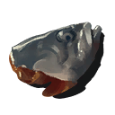 Fish Head