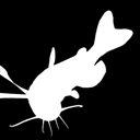 Black Bull Head