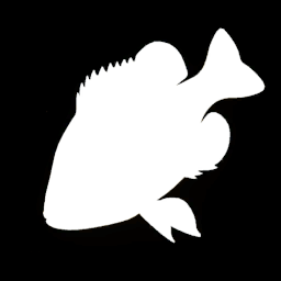 Bluegill Sunfish