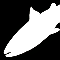 Coastal Cutthroat Trout