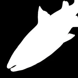 Kokanee Salmon