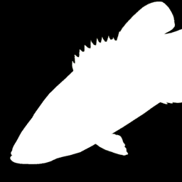 Largemouth Bass