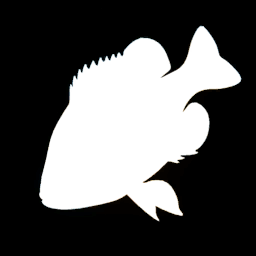 Pumpkinseed Sunfish