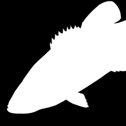 Smallmouth Bass