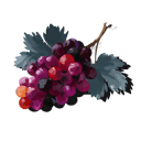 Grapes