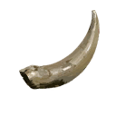 Horn of the Great Bison
