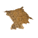 Jaguar Pelt