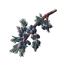 Juniper Berry