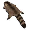 Raccoon Pelt
