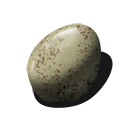 Egg