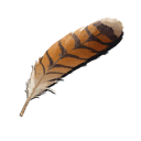 Raptor Feather