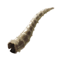 Horn