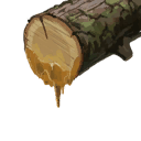 Tree Sap