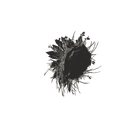 Nest