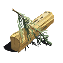 Cypress