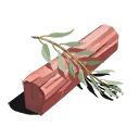 Eucalyptus