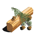 Hemlock
