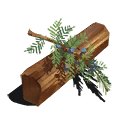 Juniper