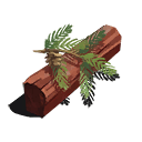 Redwood
